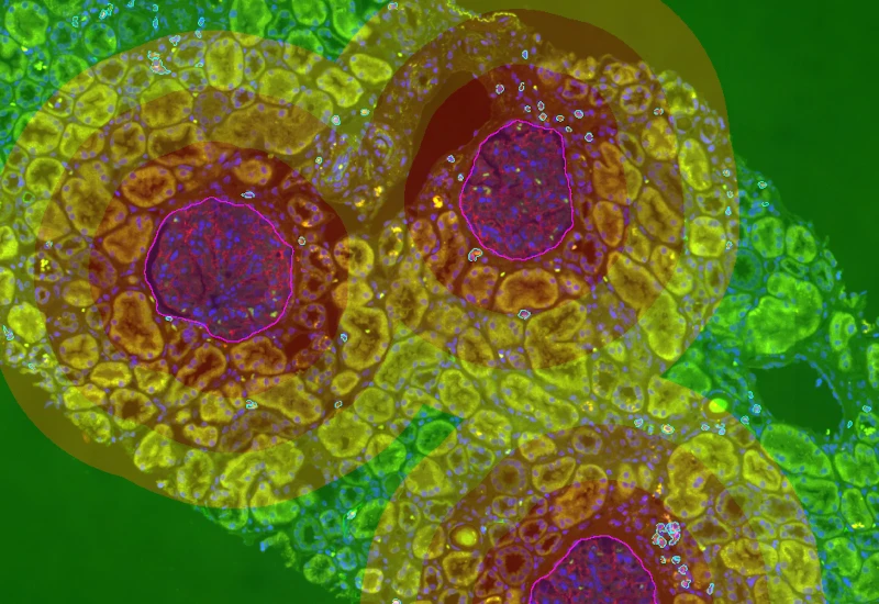 Dynamic Content Image